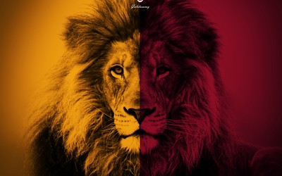 正大体育-于帕梅卡诺失误集锦引热议