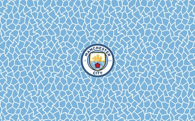 正大体育动态-从毕包到曼城他经历了什么